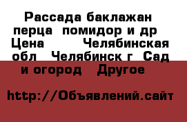 Рассада баклажан, перца, помидор и др › Цена ­ 20 - Челябинская обл., Челябинск г. Сад и огород » Другое   